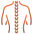 endoscopic-spine-surgery1